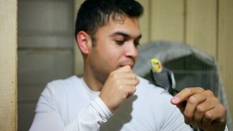 Битбокс с попугаем - смотреть видео (0:33)