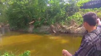 Быстрая реклама сосисок - смотреть видео (0:25)