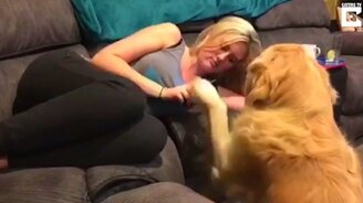 Хватит смотреть в телефон! - смотреть видео (0:42)