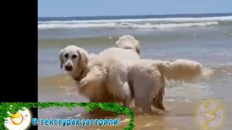 Чудаки и чудачки в приколах - смотреть видео (8:00)