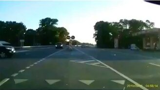 Когда у тебя тонкое чутьё - смотреть видео (0:30)