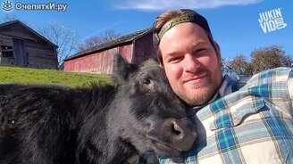 Приколы с животными на ферме - смотреть видео (3:00)