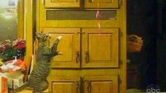 Смешная домашняя подборка 33 - смотреть видео (10:04)