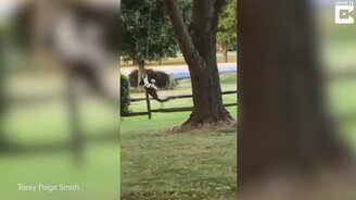 Как натренировать челюсть - смотреть видео (0:09)