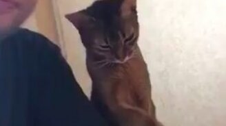 Ну поделись мясом! - смотреть видео (0:35)