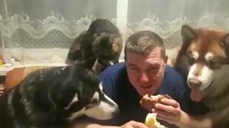 Когда хочешь подразнить знакомых - смотреть видео (0:33)