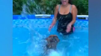 Водные приколы с собаками - смотреть видео (3:03)