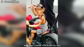 Сборка увлекающих приколов - смотреть видео (6:33)