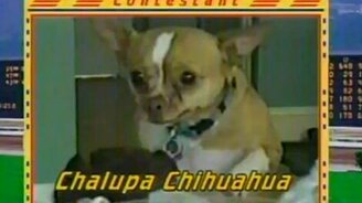 Смешная домашняя подборка 37 - смотреть видео (5:35)