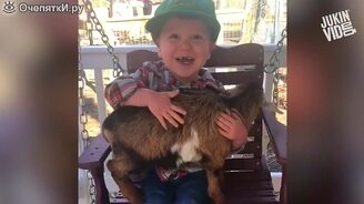 Весёлые животные на ферме - смотреть видео (3:00)