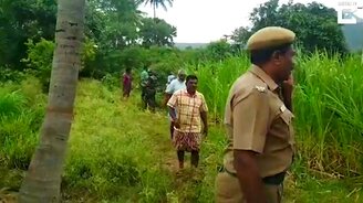 Спасение слонов из ямы - смотреть видео (1:10)