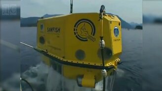 Подводный лесоруб - смотреть видео (5:35)