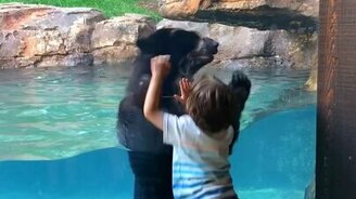 Давай прыгать вместе! - смотреть видео (0:17)