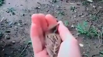 Не хочу на волю! - смотреть видео (0:14)