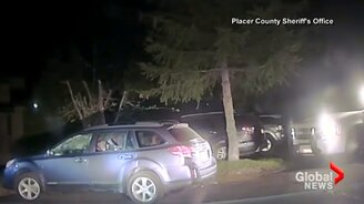 Как спасти медведя из авто - смотреть видео (0:24)