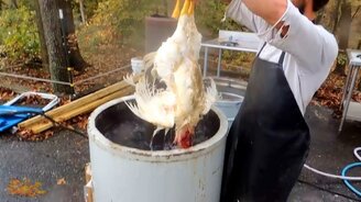 Удобные приспособления и технологии - смотреть видео (7:49)