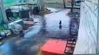 Медведь гонится за рабочим - смотреть видео (0:32)