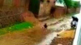 Шустрый мальчишка в покрышке - смотреть видео (0:29)