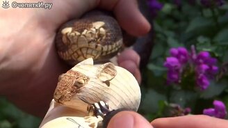 Мастерская резьба по дереву - смотреть видео (16:33)