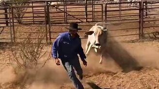 Вон из моего загона! - смотреть видео (0:06)