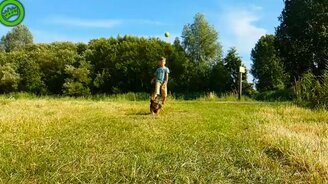 Принеси мячик, собачка! - смотреть видео (0:18)