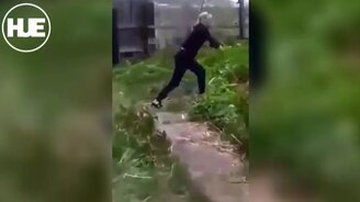 Мишка почуял шашлык - смотреть видео (0:25)