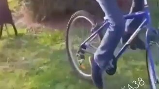 От барана уйти непросто - смотреть видео (0:52)