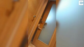 Этот везде найдёт - смотреть видео (0:23)