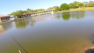 Ловко стащил добычу рыбака - смотреть видео (0:48)