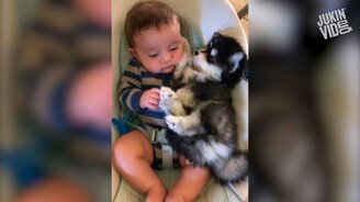 Лучшие яркие приколы недели - смотреть видео (10:14)