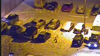 Зря вытолкали - смотреть видео (0:23)