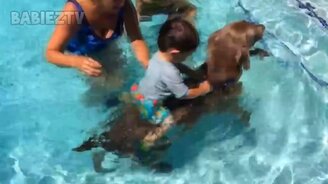 Ребятишки против воды - смотреть видео (3:02)