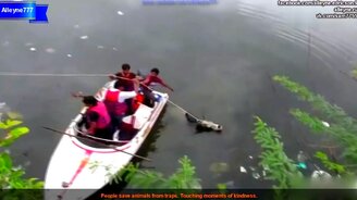 Люди помогают зверям - смотреть видео (3:28)