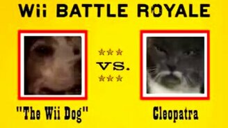 Собака и кот - кто кого? - смотреть видео (1:02)