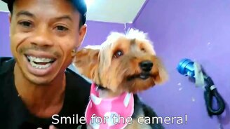 Собака, улыбнись на камеру! - смотреть видео (0:11)