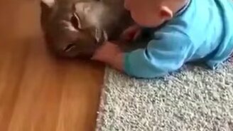 Домашняя рысь нянчит малыша - смотреть видео (0:40)