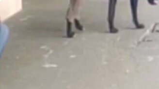 Собака в брюках - смотреть видео (0:21)