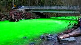 Река позеленела - смотреть видео (1:50)