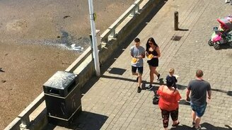 Берегись чаек! - смотреть видео (0:36)