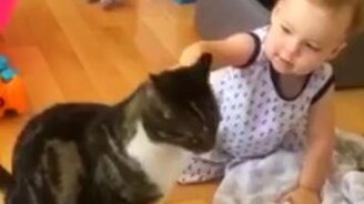 Девочка общается с кошкой - смотреть видео (2:42)