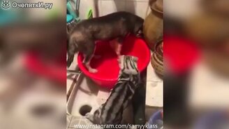 Сборник юмора из жизни - смотреть видео (7:38)