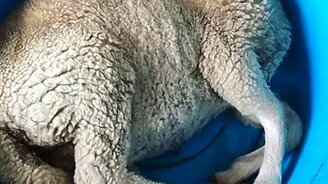 А мне и так хорошо! - смотреть видео (0:04)