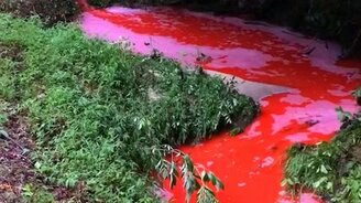 Во что человек превращает реку - смотреть видео (0:17)