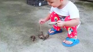 Мальчик кормит птенцов - смотреть видео (1:23)