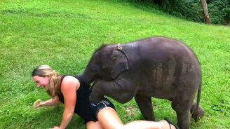 Девушка играет со слонёнком - смотреть видео (0:26)