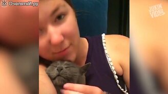 Свежие недельные курьёзы - смотреть видео (9:38)