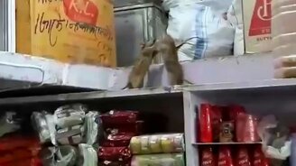 Не поделили продуктовый склад - смотреть видео (0:52)