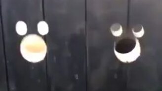 Дверной глазок для питомца - смотреть видео (0:52)