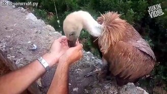 Недельные приколы и курьёзы - смотреть видео (9:23)