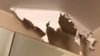 Натяжной потолок против кота - смотреть видео (0:19)